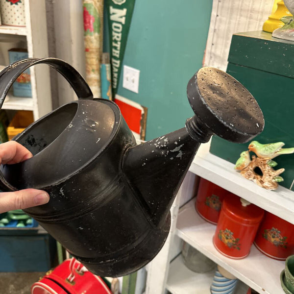 Jens Fresh Vintage ~ Chippy black watering can