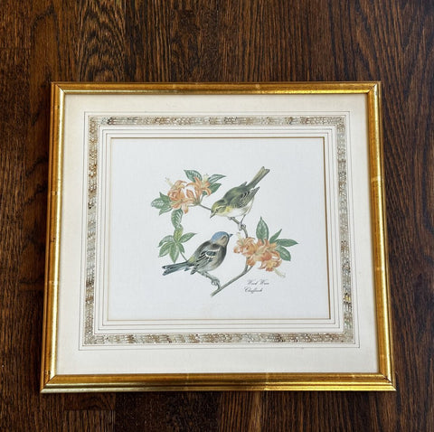 Vintage Gold Framed Wood Wren Chaffinch Picture 16W x 14.5T