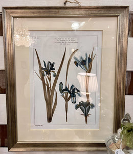 Beautiful Iris print in silver frame (Ballard Designs) l19x23