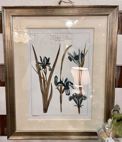 Beautiful Iris print in silver frame (Ballard Designs) l19x23