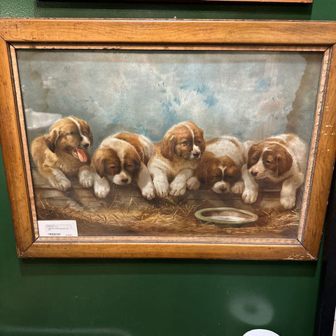 Victorian framed dog print, 19' x26"