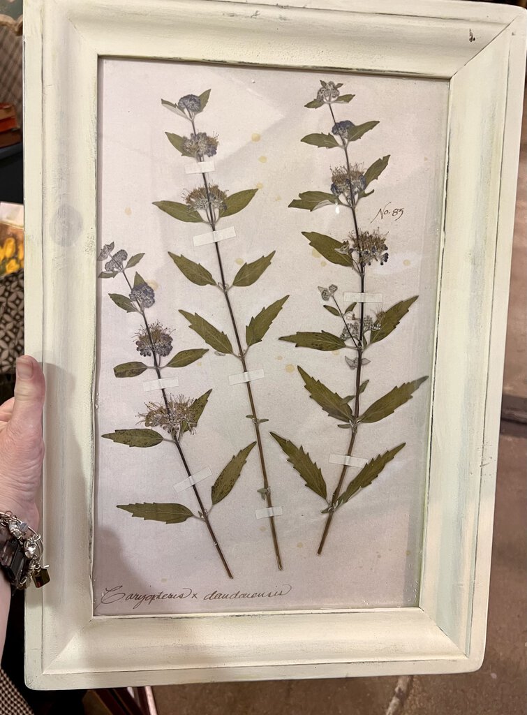 Pressed floral art in white frame - 14.5 x 20.5 - No 83