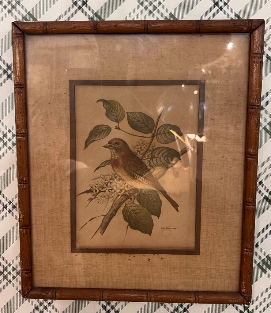 Vintage bird print in faux bamboo frame 9.5x12, as found, bird on branch w/white flowers left facing