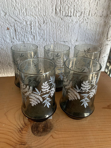 Vintage Set of 5 Gray Drinking Glasses with White Ferns