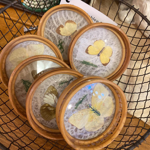 Set of 6 Butterfly Coasters