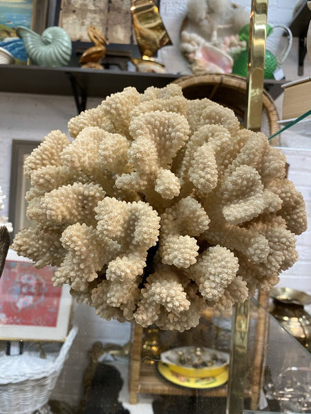 Cauliflower Coral W1447