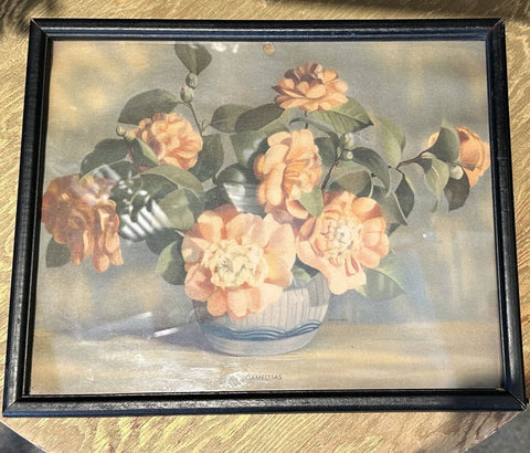 Vintage framed floral print