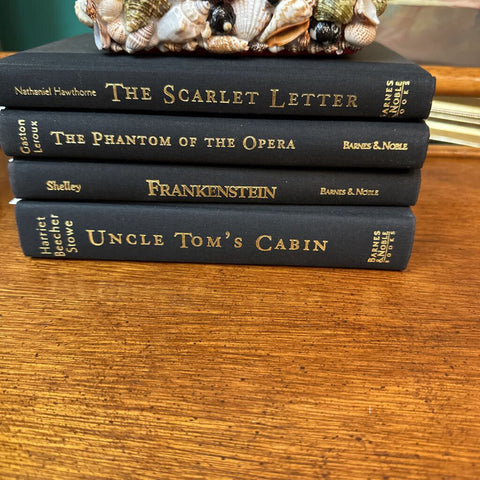 The Scarlett Letter book