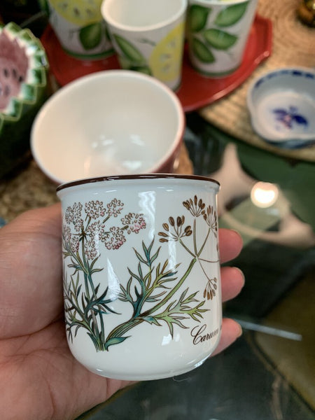 Vintage Villeroy & Boch Botanical Cup