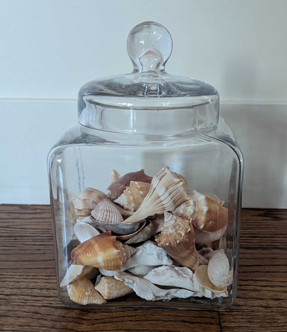 Glass Lidded Jar w/Shells