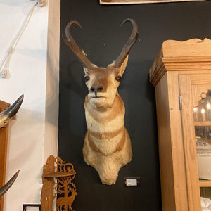 Antelope Mount