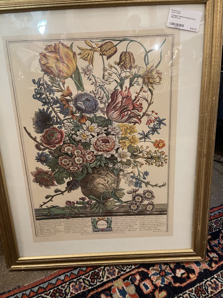 Vintage framed botanical print March as is