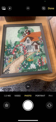 Vintage framed cottage stitchery