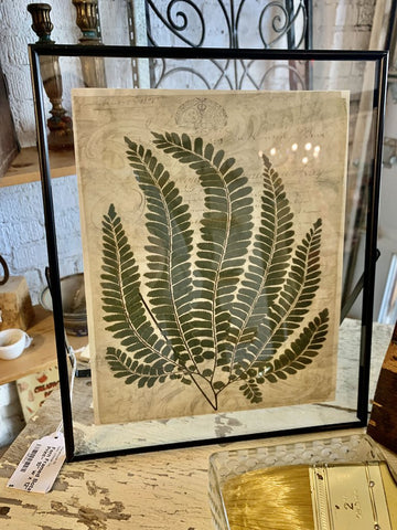 Fern Framed Botanical Print~ 10" w x 12" l