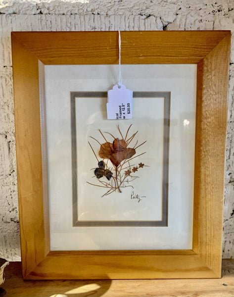 Vintage Botanical Dried Pressed Framed Flower~ 10.5" w x 12.5" l