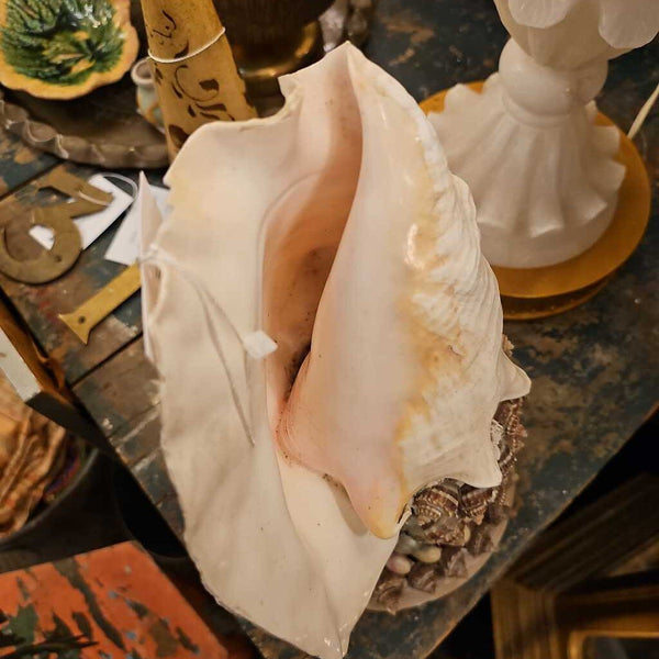 Shell statuary folk art