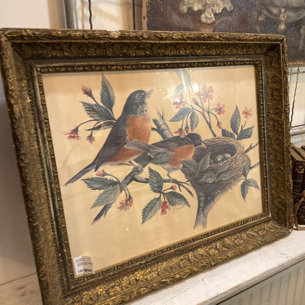 Antique Gilt Framed Robin's w/Nest Print