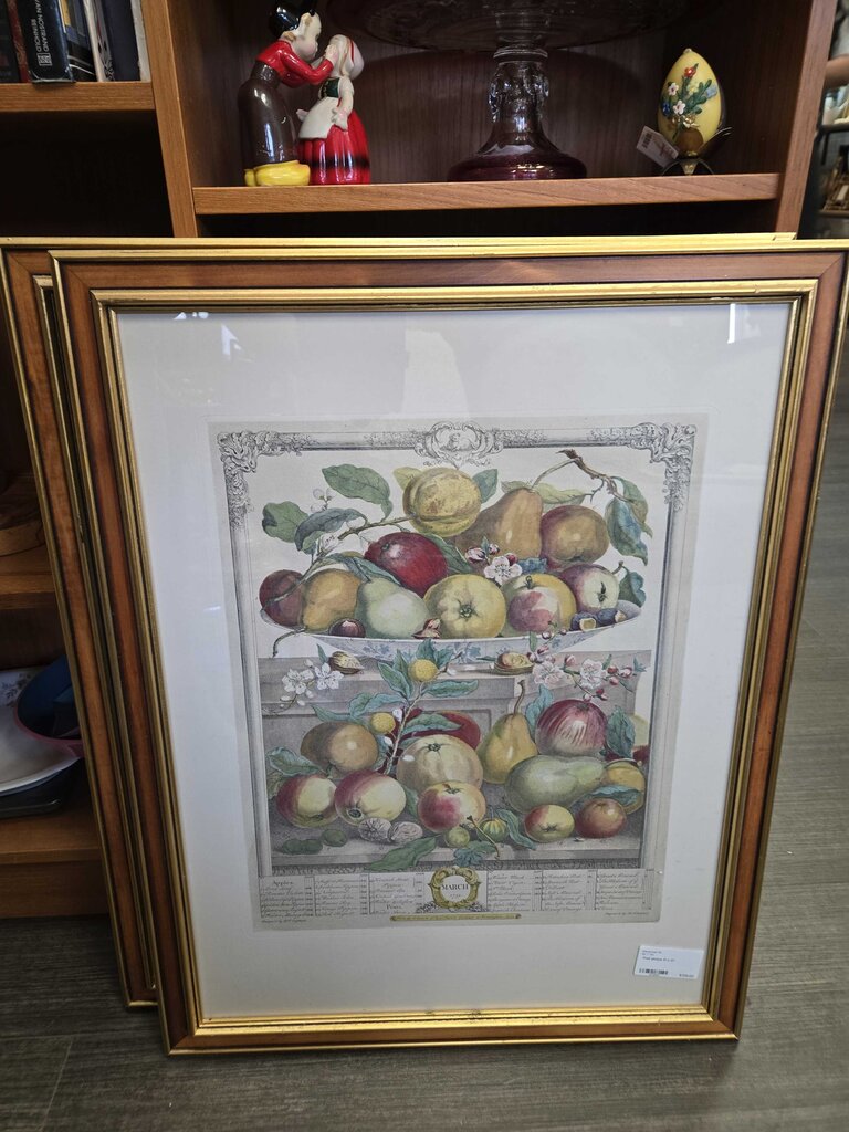 Fruit picture 21 x 27