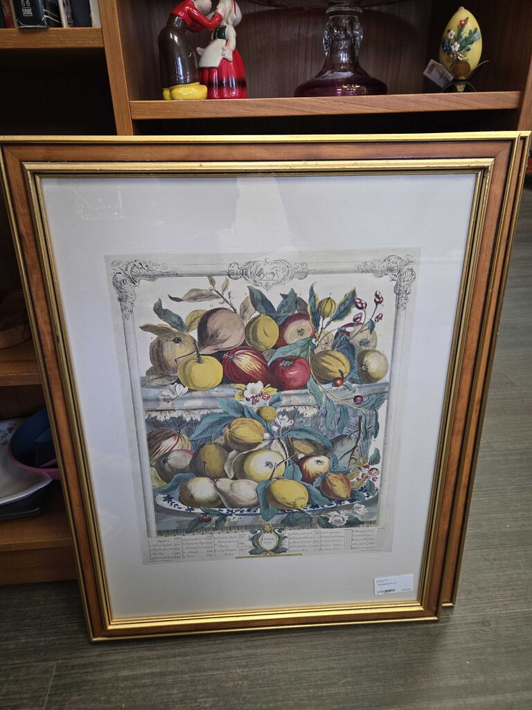 Fruit picture 21 x 27