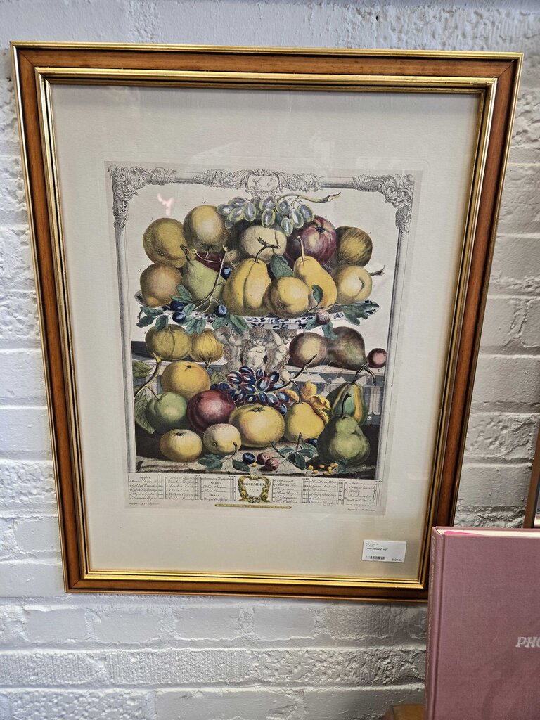 Fruit picture 21 x 27