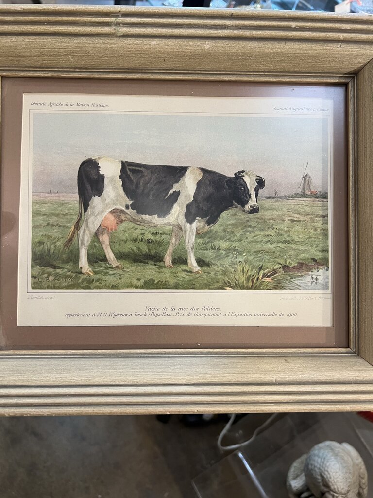 Vintage Framed Cow Print