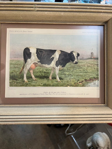 Vintage Framed Cow Print