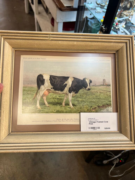 Vintage Framed Cow Print