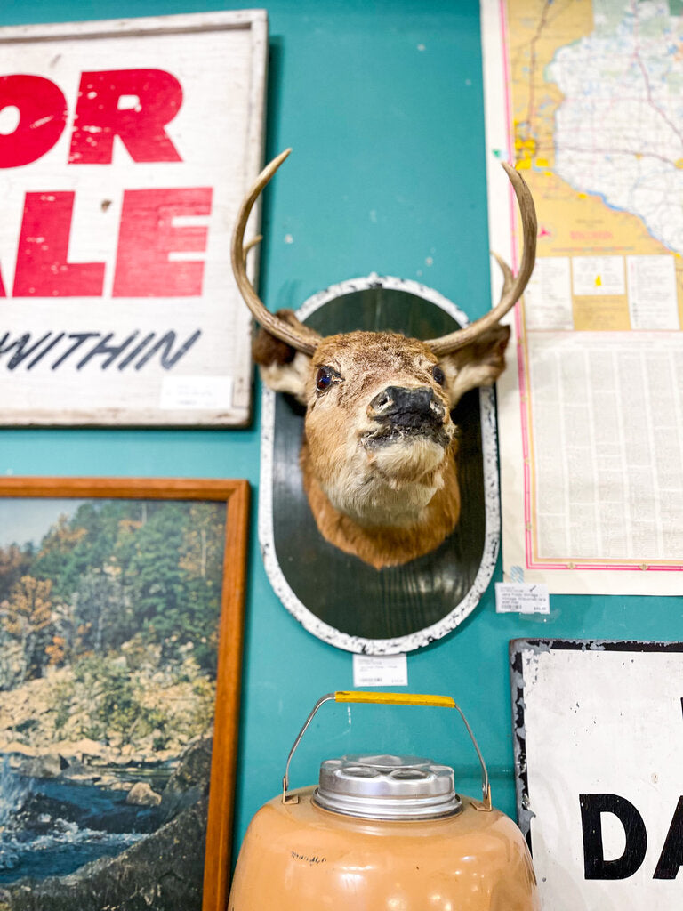 Jens Fresh Vintage ~ Vintage Mount