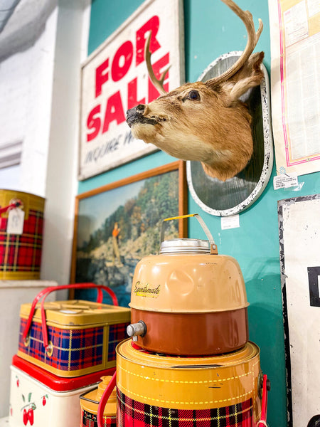 Jens Fresh Vintage ~ Vintage Mount