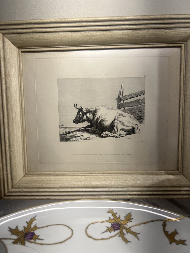 Vintage Framed Steer Print