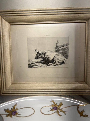 Vintage Framed Steer Print