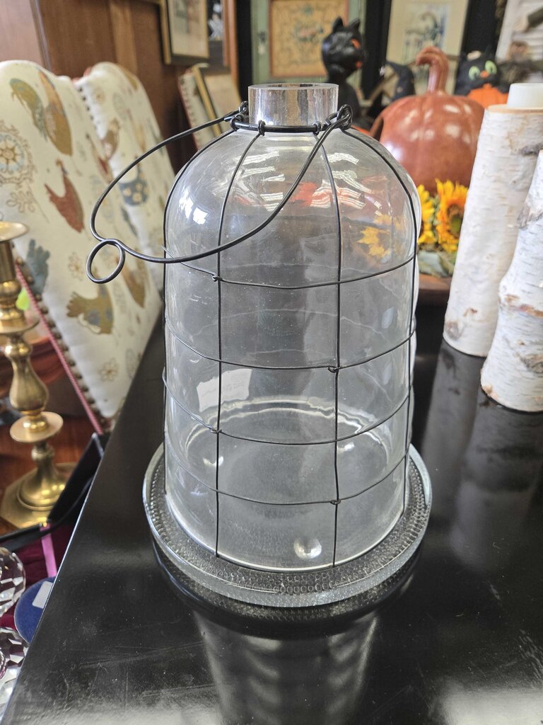 Glass wired dome on plate 8 x 12