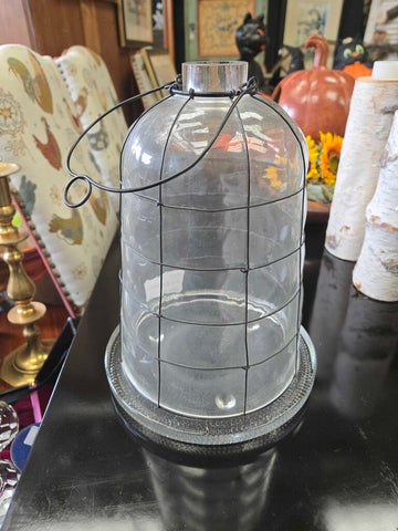 Glass wired dome on plate 8 x 12