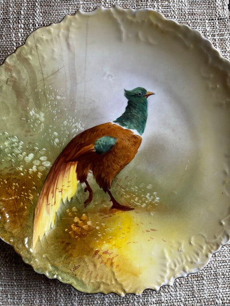 Antique Pheasant WALL Plate 13 1/2" LIMOGES HAND PAINTED (as found)