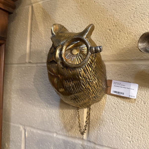 Aluminum Owl Head Wall Decor