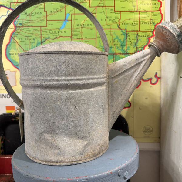 JFV ~ vintage watering can