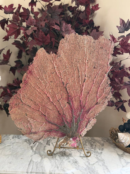 1500 Mauve/Beige Sea Fan Coral (easel NFS)