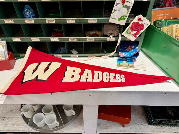 JFV ~ wool Wisconsin Badgers pennant