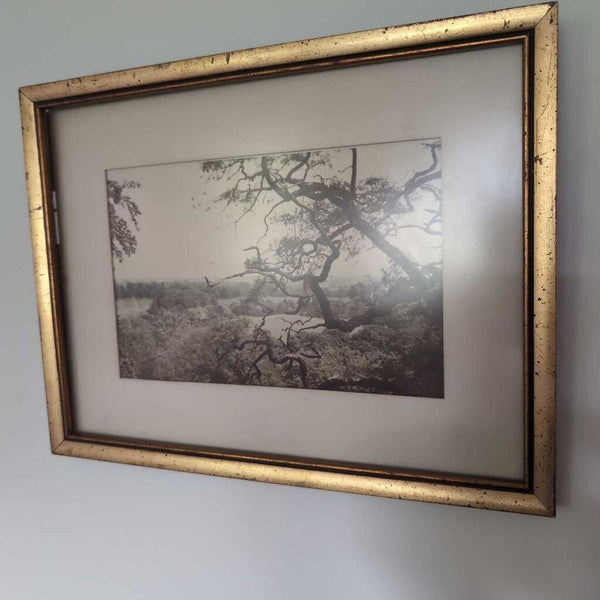 Gold Framed Photograph - View From Windsor Castle - England