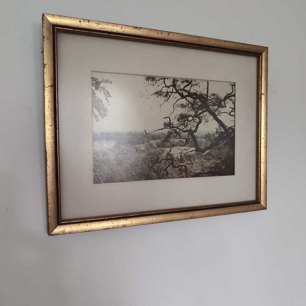 Gold Framed Photograph - View From Windsor Castle - England