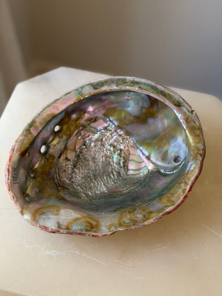 1563 Abalone Shell Trinket Dish