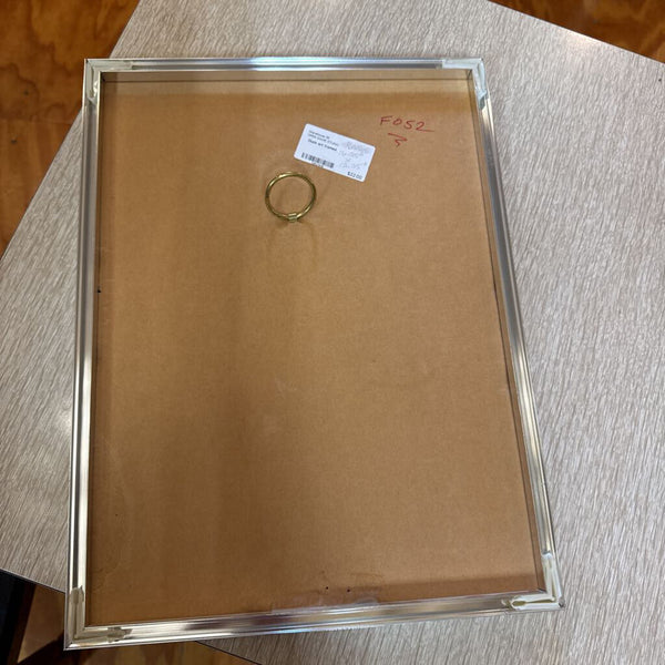 Duck art framed in chrome frame (dimensional effect as if color changes)