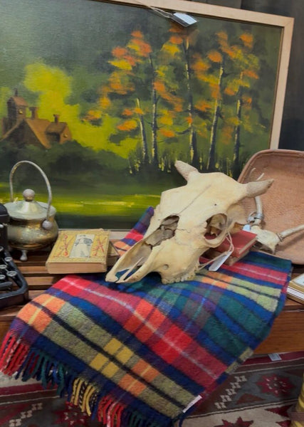 Vintage Steer Skull W1162