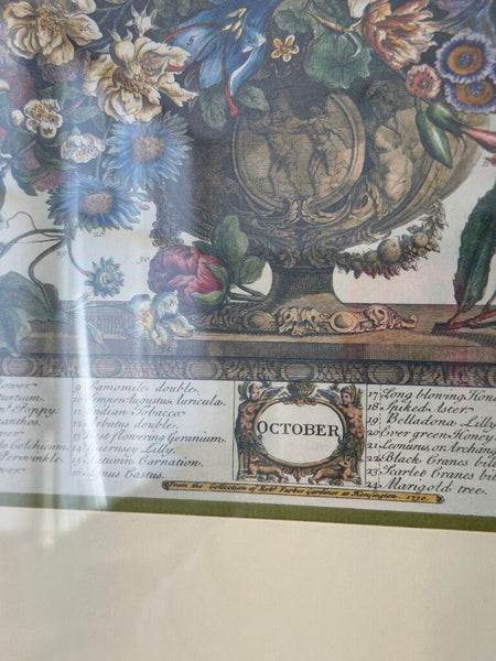 October Floral Framed Print