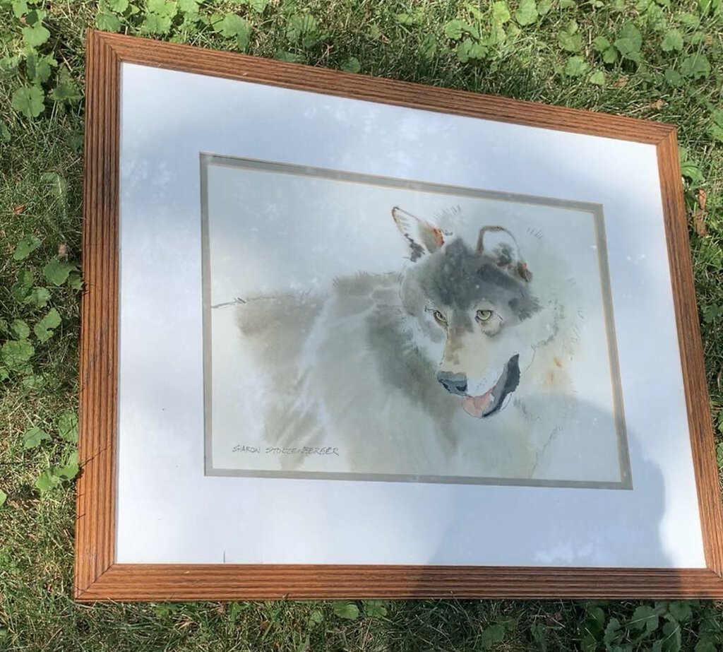 Signed wolf framed watercolor