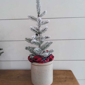 Flocked Christmas Tree in Vintage White Crock 17 inches. IN STORE PICKUP ONLY