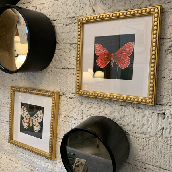 Framed Butterfly Picture