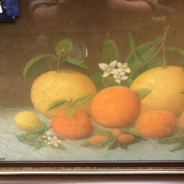 Antique (C. 1915) Pastel Original Citrus Fruits & Florals, Framed (26x19) in-store pickup only