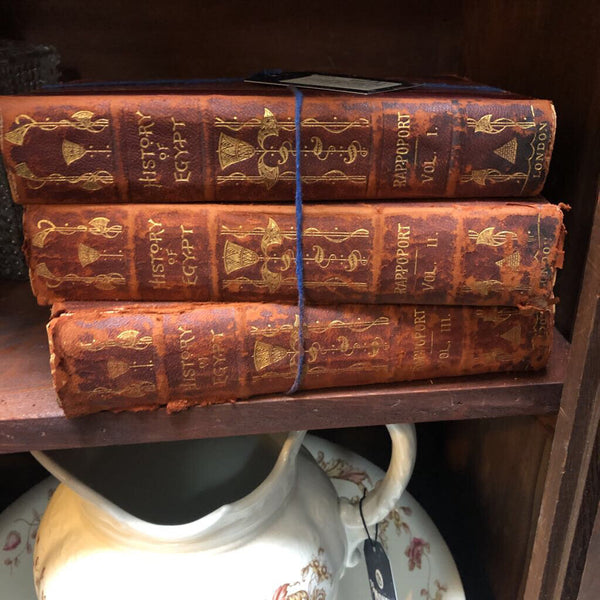 Set of 3 Heavy Antique 'History of Egypt' Books w/ Marbling and Gilt Detailed Leather Spines