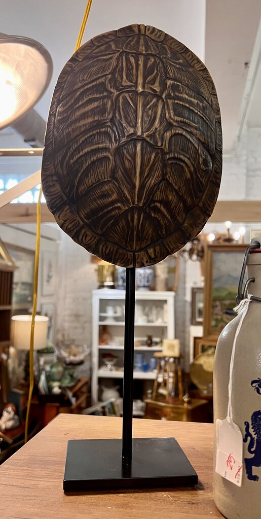 Turtle Shell on stand